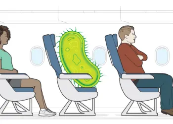 Airplane Survival Guide: How to Avoid Germs and Stay Comfortable on Flights