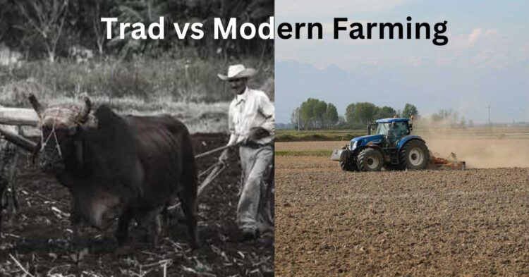 From Field to Finance: Farm CEO vs. Traditional Farmer